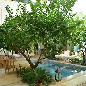 Emberiza Sahari بيت ضيافة مراكش